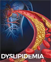Systematic review on efficacy, effectiveness, and safety of pitavastatin in dyslipidemia in Asia